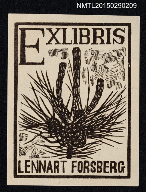 主要名稱：藏書票—松の実（松果）圖檔，第1張，共1張