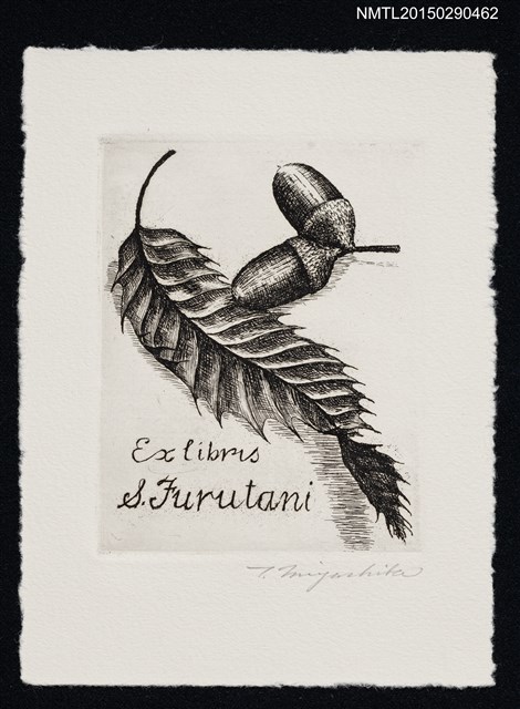 主要名稱：藏書票—橡樹葉和果實圖檔，第1張，共1張