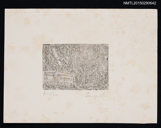 主要名稱：藏書票—叢生圖檔，第1張，共1張