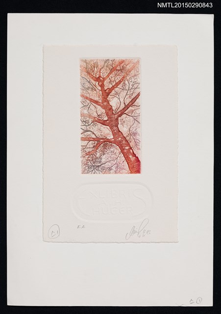 主要名稱：藏書票—樹圖檔，第1張，共1張