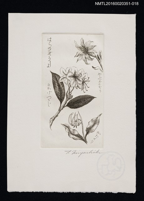 主要名稱：藏書票—花/劃一題名：芥舟．原野賢吉藏書票集圖檔，第1張，共1張