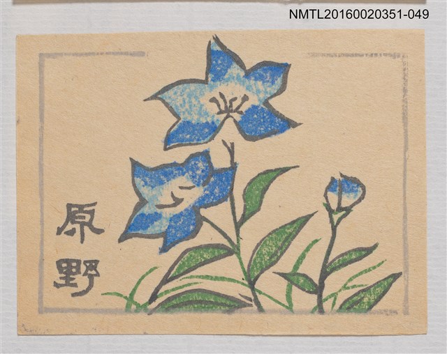 主要名稱：藏書票—藍桔梗/劃一題名：芥舟．原野賢吉藏書票集圖檔，第1張，共1張