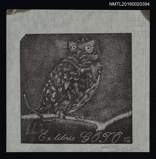 主要名稱：藏書票—佇立樹枝的貓頭鷹圖檔，第1張，共1張