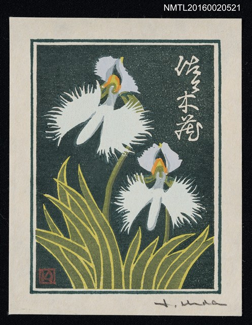 主要名稱：藏書票—鷺草 /劃一題名：蘭シリーズ • 2圖檔，第1張，共1張