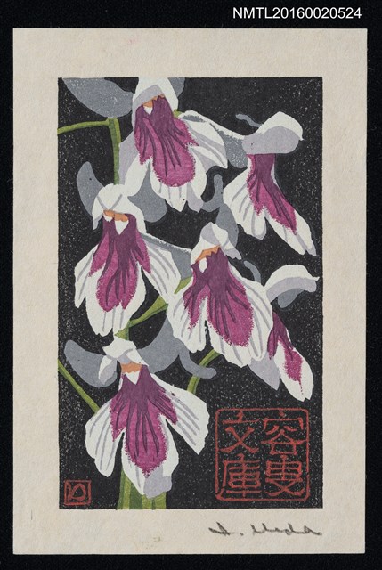 主要名稱：藏書票—羽蝶蘭 /劃一題名：蘭 シリーズ • 5圖檔，第1張，共1張