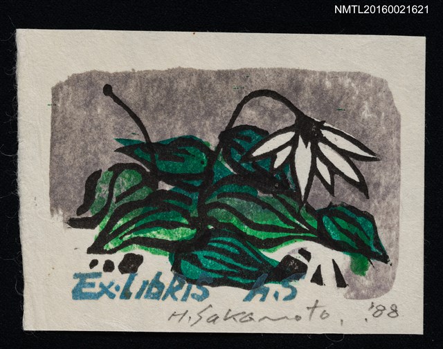 主要名稱：藏書票—チゴ百合の花（山東萬壽竹）圖檔，第1張，共1張