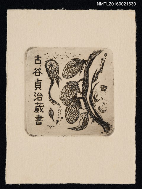 主要名稱：藏書票—奇幻植物圖檔，第1張，共1張