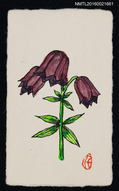 主要名稱：藏書票—紫花圖檔，第1張，共1張