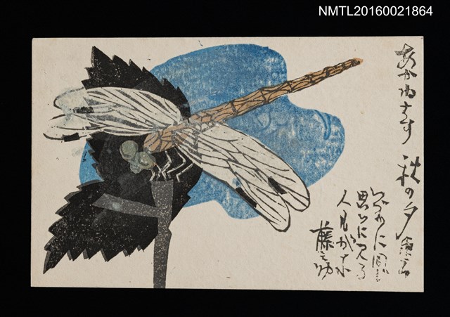 主要名稱：蜻蜓（明信片）圖檔，第1張，共1張