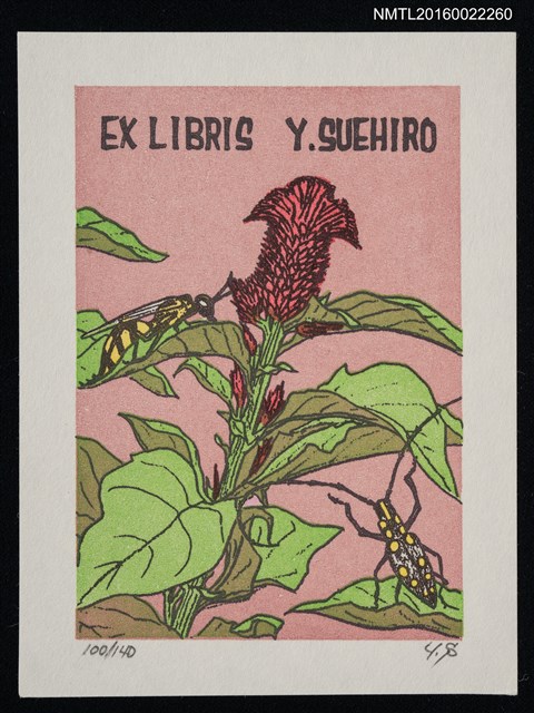 主要名稱：藏書票—雞冠花圖檔，第1張，共1張