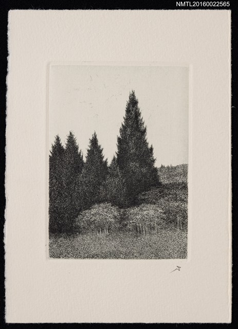 主要名稱：藏書票—樹林圖檔，第1張，共1張