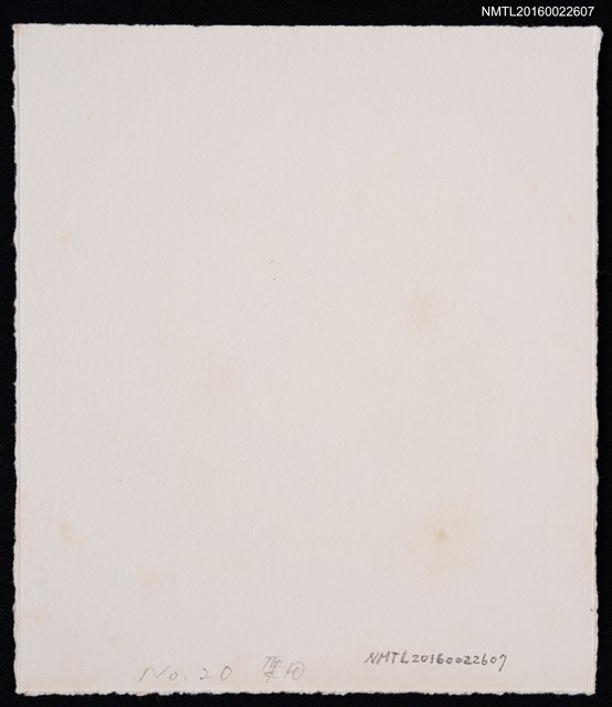 主要名稱：藏書票—都市 • 羽毛 • 百合圖檔，第2張，共2張