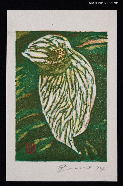 主要名稱：藏書票—ハンカチノキ（珙桐）圖檔，第1張，共1張