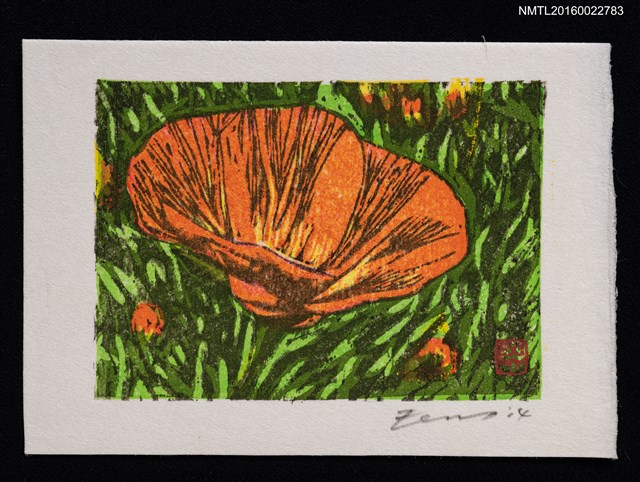 主要名稱：藏書票—ハナビシソウ（花菱草）圖檔，第1張，共1張