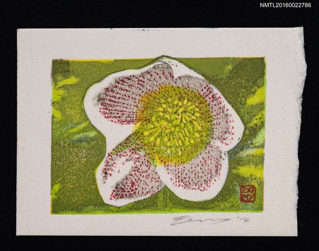 主要名稱：藏書票—クリスマスローズ（聖誕玫瑰）圖檔，第1張，共1張