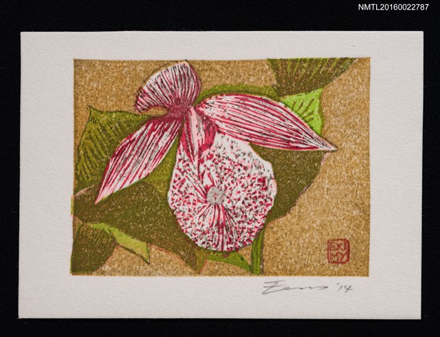 主要名稱：藏書票—クマガイソウ（熊谷草）圖檔，第1張，共1張