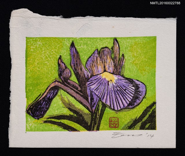 主要名稱：藏書票—アヤメ（菖蒲）圖檔，第1張，共1張