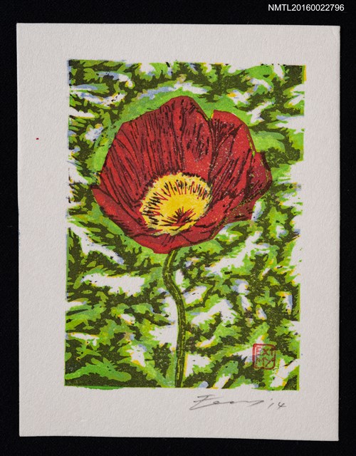 主要名稱：藏書票—アイスランドポピー（冰島罌粟）圖檔，第1張，共1張