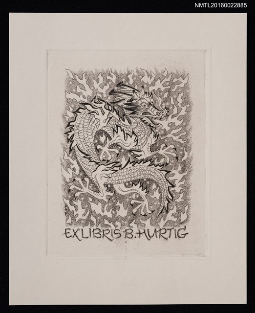 主要名稱：藏書票—噴火中國龍圖檔，第1張，共1張