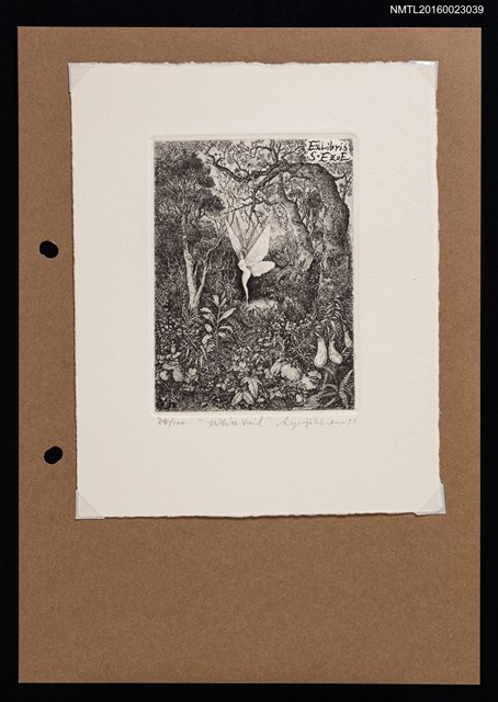 主要名稱：藏書票—White Veil（白色面紗）圖檔，第1張，共1張