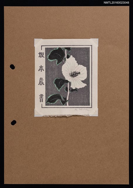 主要名稱：藏書票—白木槿圖檔，第1張，共2張