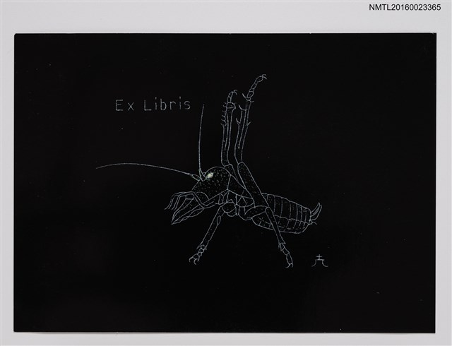 主要名稱：藏書票—蟲圖檔，第1張，共1張