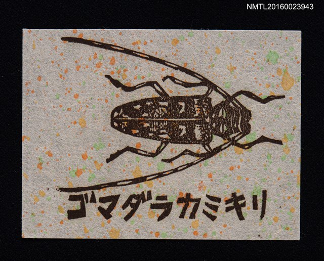 主要名稱：藏書票—ゴマダラカミキリ （星天牛）圖檔，第1張，共1張