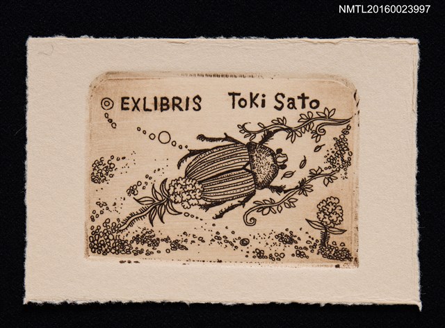 主要名稱：藏書票—黄金虫（金龜子）圖檔，第1張，共1張