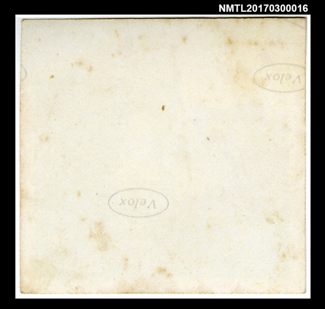 主要名稱：張福英與長孫林南星於檳城植物園合影圖檔，第2張，共2張