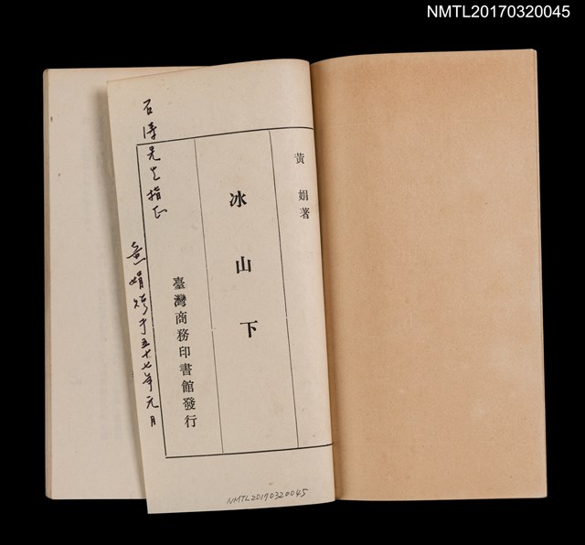 主要名稱：冰山下圖檔，第2張，共5張