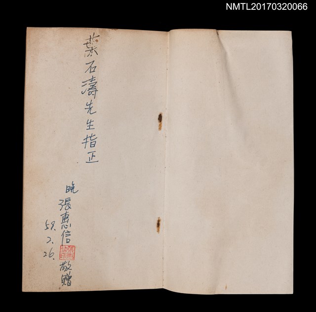 主要名稱：斷了左觸角的蟑螂圖檔，第2張，共5張