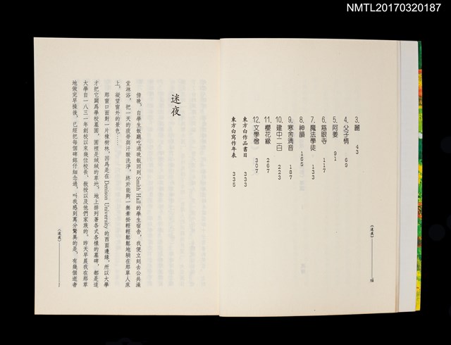 主要名稱：迷夜––美之群影圖檔，第4張，共5張