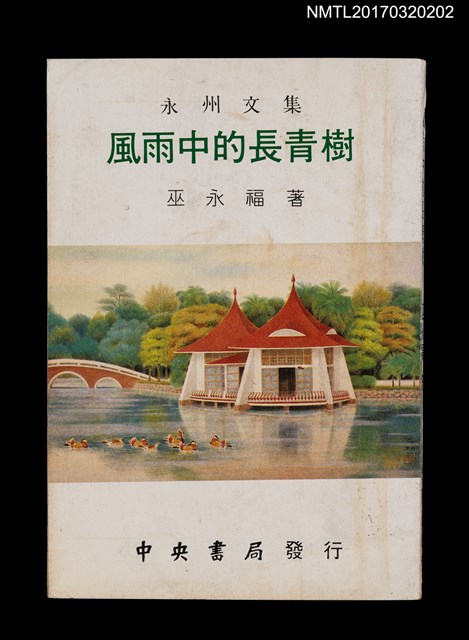 主要名稱：永州文集––風雨中的長青樹圖檔，第1張，共4張