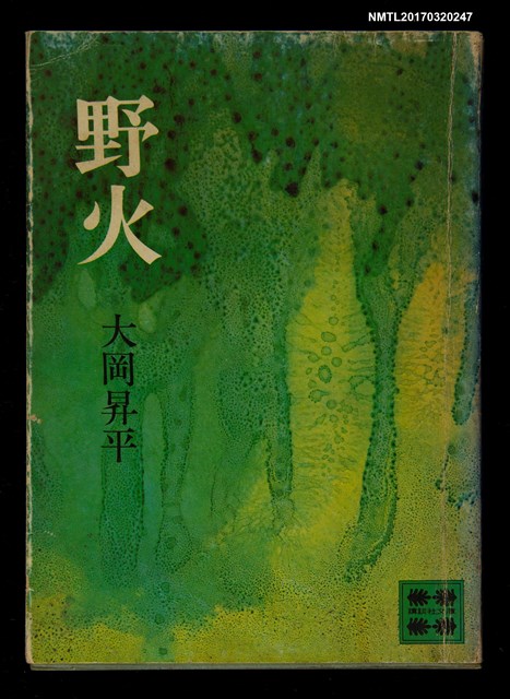 主要名稱：野火圖檔，第1張，共3張