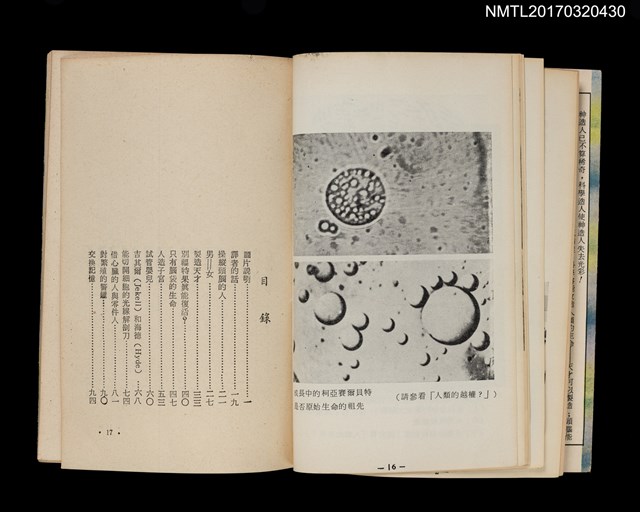 主要名稱：向神挑戰圖檔，第2張，共4張