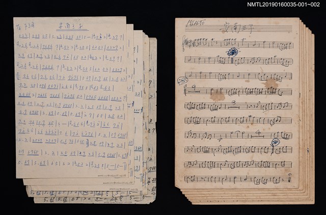 主要名稱：安南王子套譜圖檔，第2張，共2張