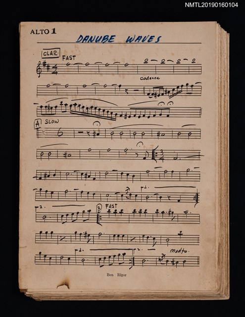 主要名稱：DANUBE WAVES套譜圖檔，第1張，共1張