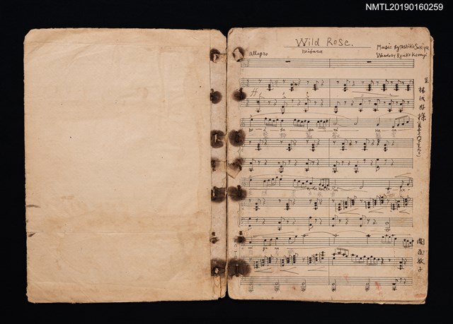 主要名稱：Wild Rose填詞樂譜圖檔，第2張，共4張