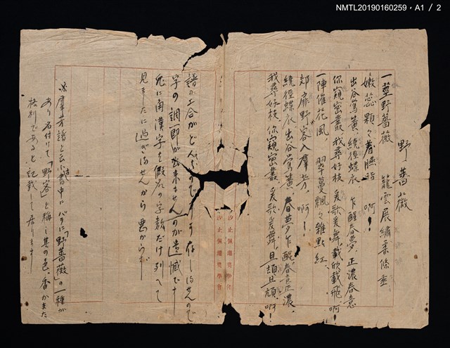 主要名稱：Wild Rose填詞樂譜圖檔，第3張，共4張