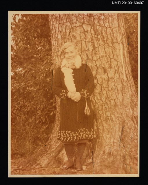 主要名稱：林氏好獨照（晚年，於樹前）圖檔，第1張，共1張