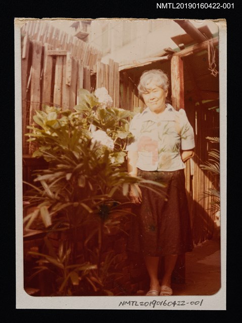 主要名稱：林氏好獨照（晚年，於竹籬繡球花旁）1圖檔，第1張，共2張