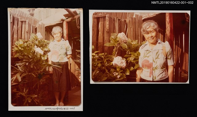 主要名稱：林氏好獨照（晚年，於竹籬繡球花旁）1圖檔，第2張，共2張