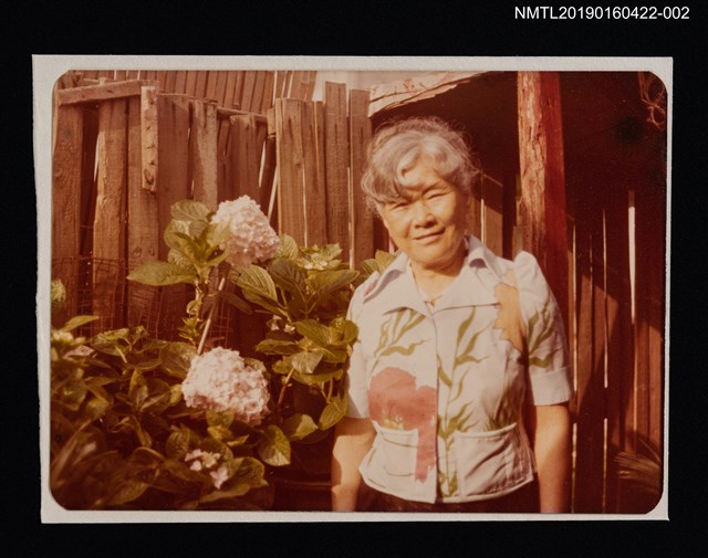 主要名稱：林氏好獨照（晚年，於竹籬繡球花旁）2圖檔，第1張，共2張