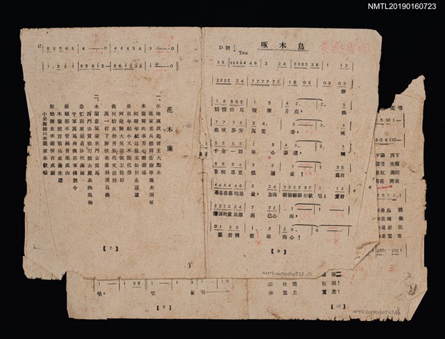主要名稱：啄木鳥簡譜歌詞；因為你簡譜歌詞；花木蘭歌詞圖檔，第1張，共3張