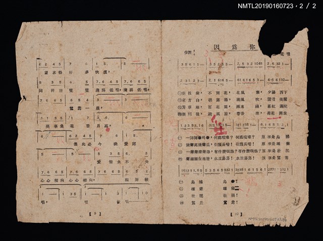 主要名稱：啄木鳥簡譜歌詞；因為你簡譜歌詞；花木蘭歌詞圖檔，第3張，共3張