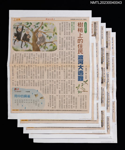 主要標題：樹梢上的住民渡河大逃難（1~21）/報紙名稱：國語日報圖檔，第1張，共1張