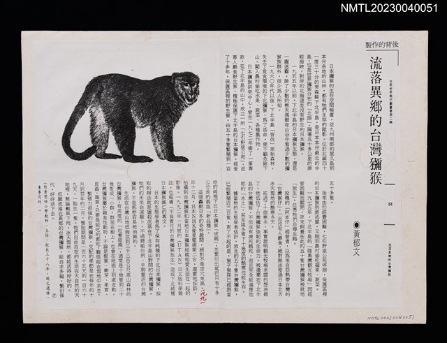 主要名稱：流落異鄉的台灣獼猴（影本）/叢書名(號)：台英世界親子圖畫書第二輯圖檔，第1張，共1張