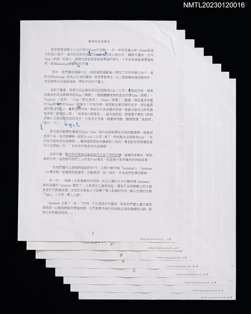 主要名稱：崩塌地的赤陽木（打字修訂稿）圖檔，第1張，共2張