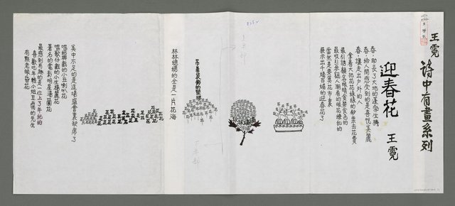 主要名稱：迎春花（影本）圖檔，第1張，共1張