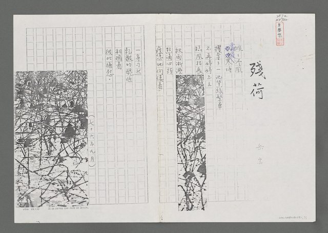 主要名稱：殘荷（影本）圖檔，第1張，共1張